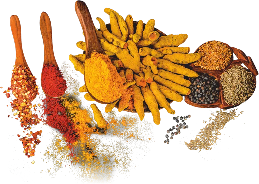Indian Spices
